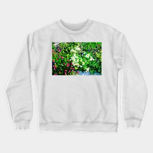 View in Piani di Ragnolo at Anthemis Cretica and other flowers Crewneck Sweatshirt